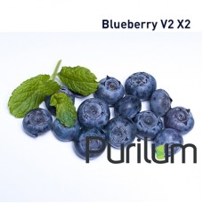 Blueberry V2 X2