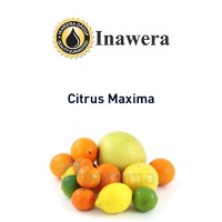 Citrus Maxima