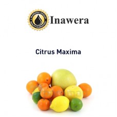 Citrus Maxima